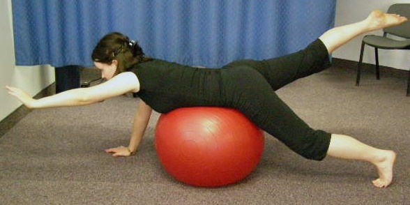 Quadruped Opposite Arm and Leg Lifts